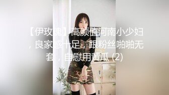 【伊玫瑰】高颜值河南小少妇，良家感十足，跟粉丝啪啪无套，自慰用黄瓜 (2)