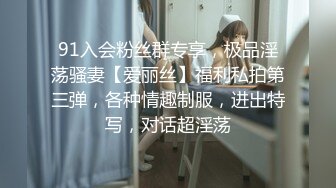 91入会粉丝群专享，极品淫荡骚妻【爱丽丝】福利私拍第三弹，各种情趣制服，进出特写，对话超淫荡