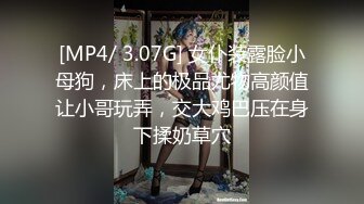 9月最新流出厕拍大神西瓜沟厕系列手持镜头近景欣赏各种美穴拉屎尿还拍到一个看骚穴的同好