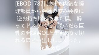 [EBOD-787] 地味で内気な経理部員から会社の飲み会後に逆お持ち帰りされた僕。 酔ってドスケベ化、脱いだら巨乳の発掘系OLとチ●ポ擦り切れるほど中出ししまくった。 花宮あむ