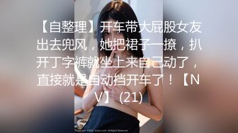 【自整理】开车带大屁股女友出去兜风，她把裙子一撩，扒开丁字裤就坐上来自己动了，直接就是自动挡开车了！【NV】 (21)