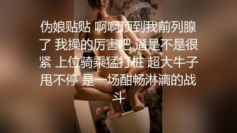 维拉舞团 艳舞女神 【琳达】SVIP-漏毛露点艳舞 合集（包括下海作品合集【80v】 (45)