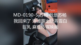 MD-0190-5 苏畅 我是苏畅 我回来了 海滩露出玩弄雪白巨乳 麻豆传媒映画