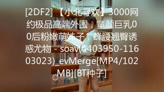 [2DF2] 【小北寻欢】3000网约极品高端外围，童颜巨乳00后粉嫩萌妹子，蜂腰翘臀诱惑尤物 - soav(4403950-11603023)_evMerge[MP4/102MB][BT种子]