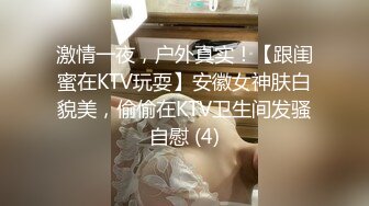 激情一夜，户外真实！【跟闺蜜在KTV玩耍】安徽女神肤白貌美，偷偷在KTV卫生间发骚自慰 (4)