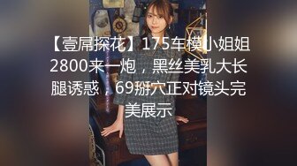 【壹屌探花】175车模小姐姐2800来一炮，黑丝美乳大长腿诱惑，69掰穴正对镜头完美展示