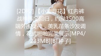 [2DF2] 【小宝寻花】红内裤战神再度回归，约操3500高端外围女神，美乳苗条沙发调情，花式啪啪完美展示[MP4/233MB][BT种子]