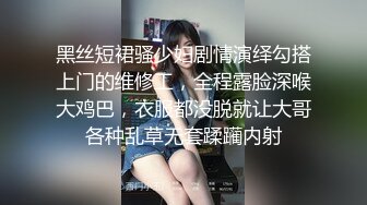 黑丝短裙骚少妇剧情演绎勾搭上门的维修工，全程露脸深喉大鸡巴，衣服都没脱就让大哥各种乱草无套蹂躏内射