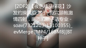 [2DF2]【夜色精品探花】沙发约操风韵少妇，抠穴舔鲍激情四射，画质清晰手法专业 - soav(7321203-13100355)_evMerge [MP4/168MB][BT种子]