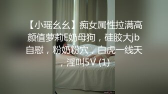 【小瑶幺幺】痴女属性拉满高颜值萝莉E奶母狗，硅胶大jb自慰，粉奶粉穴，白虎一线天，淫叫5V (1)