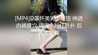 [MP4]D罩杯美乳小骚货 伸进内裤摸穴 搞得小脸红扑扑 后入大肥臀