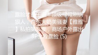 露脸才是王道！顶级绿帽刷锅狠人，广东大奶美骚妻【雅雅】私拍第二季，商场户外露出3P全程露脸 (5)