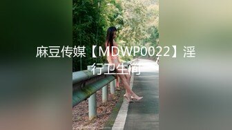 麻豆传媒【MDWP0022】淫行卫生间