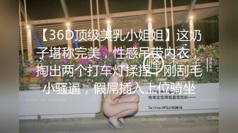 【36D顶级美乳小姐姐】这奶子堪称完美，性感吊带内衣，掏出两个打车灯揉捏，刚刮毛小骚逼，假屌插入上位骑坐