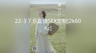 22-3 7.乐正绫SEX定制[2k60hz]