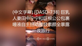 (中文字幕) [DASD-738] 巨乳人妻田中宁宁和巨根公公包裹唾液自主扭动腰肢素颜全暴露一夜旅行