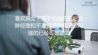 喜欢搞女下属手机自拍留纪念胖经理和不是很漂亮样子很闷骚的已经御姐啪啪