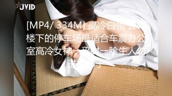 [MP4/ 334M] 高冷白领 公司楼下的停车场最适合车震办公室高冷女神，平时一脸生人勿进的样子