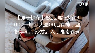 【锤子探花】极品清纯少女3000一炮，大圈00后女神，坚挺美乳，沙发后入，高潮迭起