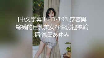 [中文字幕]HFD-193 穿著黑絲襪的巨乳美女在套房裡被輪插 篠田あゆみ