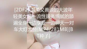 [2DF2] 温柔又善谈的大波年轻美女超一流性服务细腻的舔遍全身一边享受一边聊天一对车大灯太赞[MP4/281MB][BT种子]