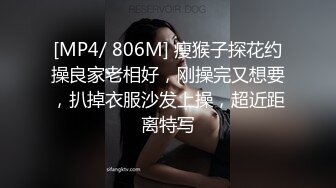 MSD-054女秘书性爱商谈-郭童童