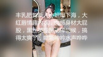 丰乳肥臀新人小姐姐下海，大红唇情趣内衣，肉感身材大屁股，黑丝美腿振动棒伺候，搞得太爽了，嘶嘶呻吟水声哗哗