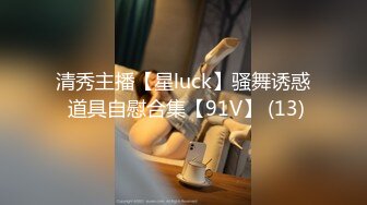 清秀主播【星luck】骚舞诱惑 道具自慰合集【91V】 (13)