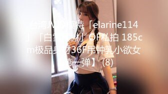 台湾JVID模特「elarine114」「白雪蘿綝」OF私拍 185cm极品身材36F吊钟乳小欲女【第一弹】 (8)