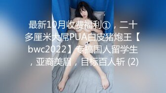 大奶老婆第一二季