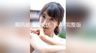 乘风破浪的女优 下 AV完整版