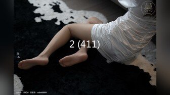 2 (411)