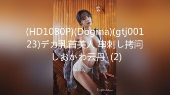 (HD1080P)(Dogma)(gtj00123)デカ乳首美人 串刺し拷问 しおかわ云丹  (2)