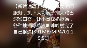 高颜值美女小逗逗投资经理为客户解决生理需要 镂空透点 扭动性感大屁股 骚丁勒鲍特写 足交 口交