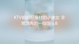 KTV偷拍好身材的小美女 非常漂亮的一线馒头B