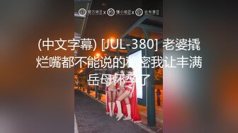 (中文字幕) [JUL-380] 老婆撬烂嘴都不能说的秘密我让丰满岳母怀孕了