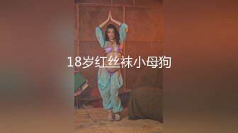 18岁红丝袜小母狗