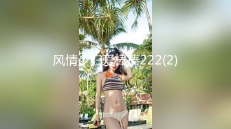 风情少妇爱棒棒222(2)