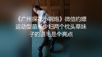 《广州探花小钢炮》微信约嫖运动型苗条少妇两个枕头草妹子的逼毛是个亮点