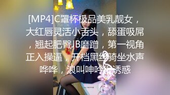 [MP4]C罩杯极品美乳靓女，大红唇灵活小舌头，舔蛋吸屌，翘起肥臀JB磨蹭，第一视角正入操逼，开档黑丝骑坐水声哗哗，浪叫呻吟很诱惑