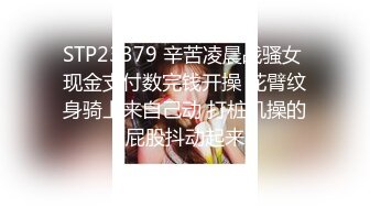 STP23379 辛苦凌晨战骚女 现金支付数完钱开操 花臂纹身骑上来自己动 打桩机操的屁股抖动起来