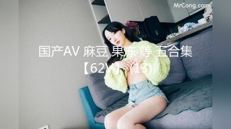 国产AV 麻豆 果冻 等 五合集【62V】 (13)