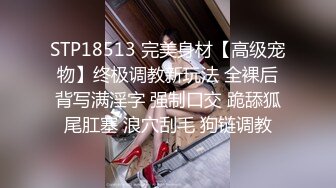 STP18513 完美身材【高级宠物】终极调教新玩法 全裸后背写满淫字 强制口交 跪舔狐尾肛塞 浪穴刮毛 狗链调教