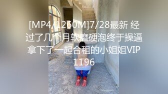 [MP4/1260M]7/28最新 经过了几个月软磨硬泡终于操逼拿下了一起合租的小姐姐VIP1196