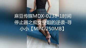 麻豆传媒MDX-0238-1时间停止器之痴女空姐的逆袭-寻小小【MP4/250MB】