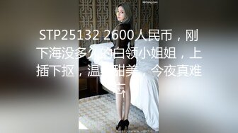 STP25132 2600人民币，刚下海没多久的白领小姐姐，上插下抠，温柔甜美，今夜真难忘