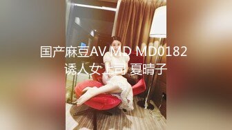 国产麻豆AV MD MD0182 诱人女上司 夏晴子