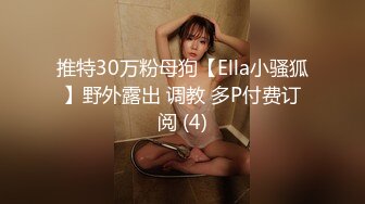 推特30万粉母狗【Ella小骚狐】野外露出 调教 多P付费订阅 (4)