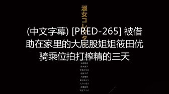 (中文字幕) [PRED-265] 被借助在家里的大屁股姐姐筱田优骑乘位拍打榨精的三天